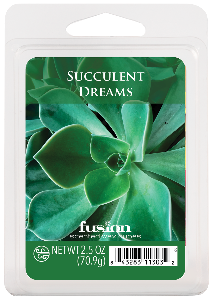 Succulent Dreams