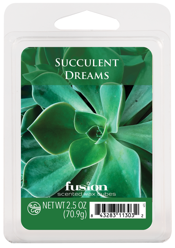 Succulent Dreams